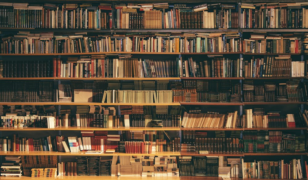 Grand open library hall representing free knowledge